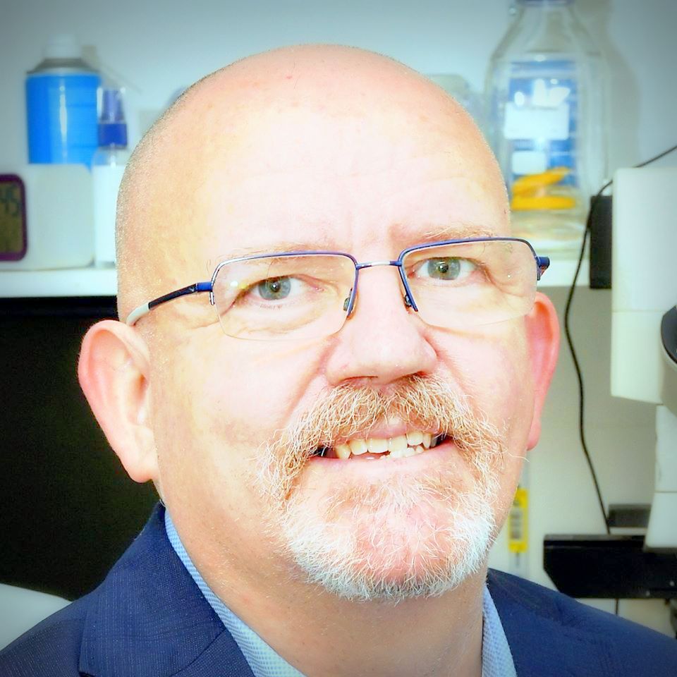 Philippe Verwaerde